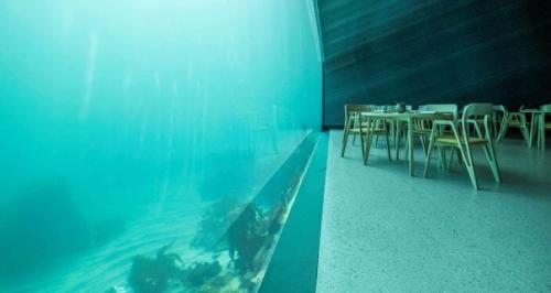 Подводный ресторан Under в Норвегии. 05