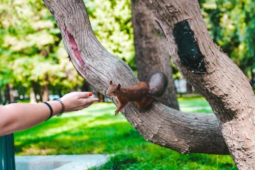 Прекрасные виды на отреставрированный северный речной вокзал в Москве. 05
