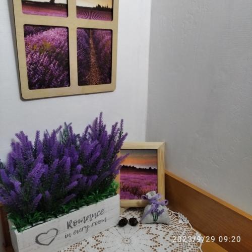 Мы живём в нашем доме уже больше 35 лет. 02