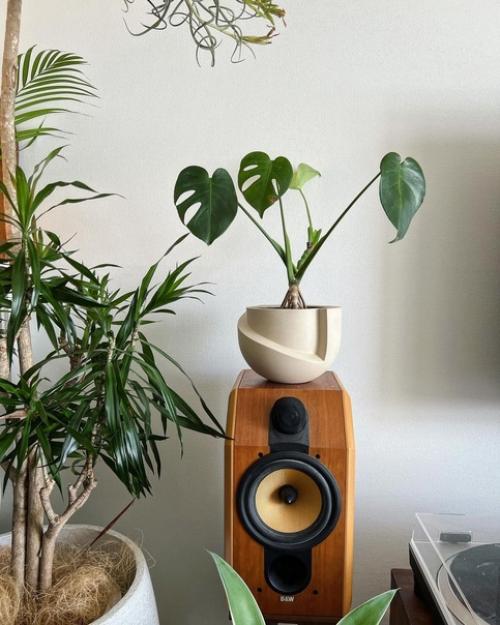 Как вырастить городские джунгли в интерьере. 06