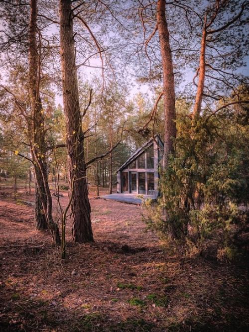 Домик на краю леса со ставнями во всю стену. 08