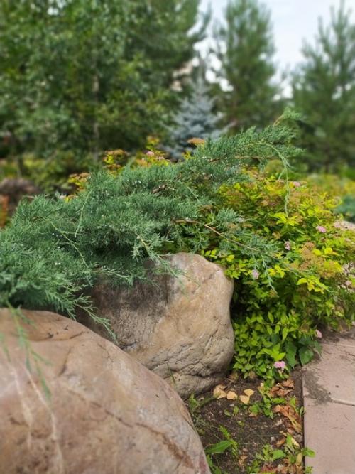 Санатории и дома отдыха на зелёной поляне. 05