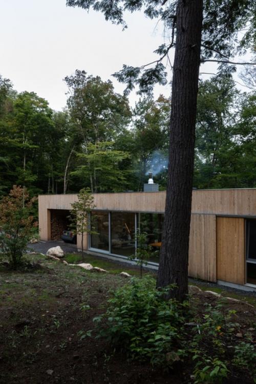 Дерево_в_архитектуре_мира. 09