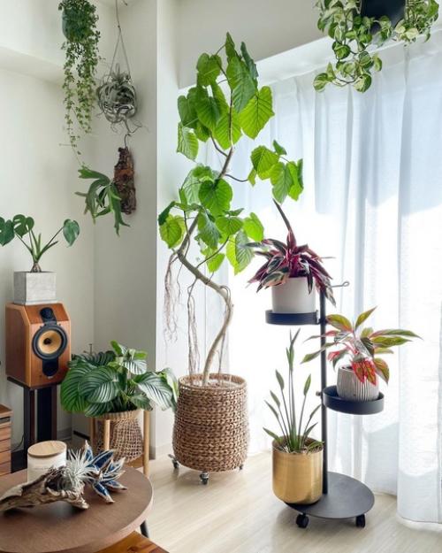 Как вырастить городские джунгли в интерьере. 01