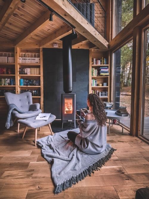 Домик на краю леса со ставнями во всю стену. 02