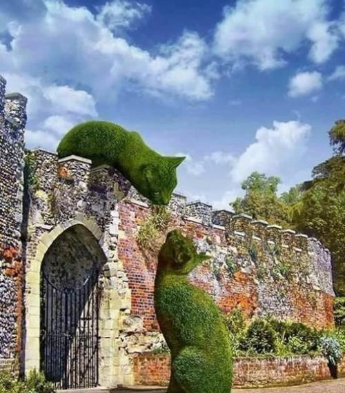 Вот это настоящий ландшафтный дизайн!  