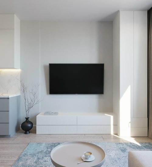 Светлый проект однокомнатной квартиры 50 м 2 в ЖК цивилизация на Неве в Санкт-петербурге. 05