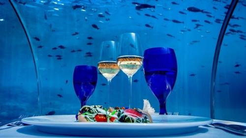 Подводный ресторан Under в Норвегии. 03